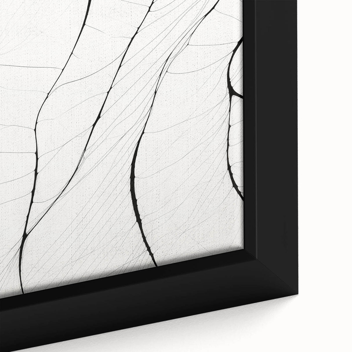 Minimalist Abstract Line Art: Delicate Organic Patterns in Black and White