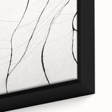 Minimalist Abstract Line Art: Delicate Organic Patterns in Black and White