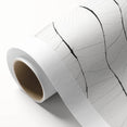 Minimalist Abstract Line Art: Delicate Organic Patterns in Black and White