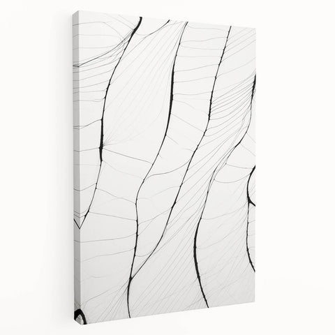 Minimalist Abstract Line Art: Delicate Organic Patterns in Black and White