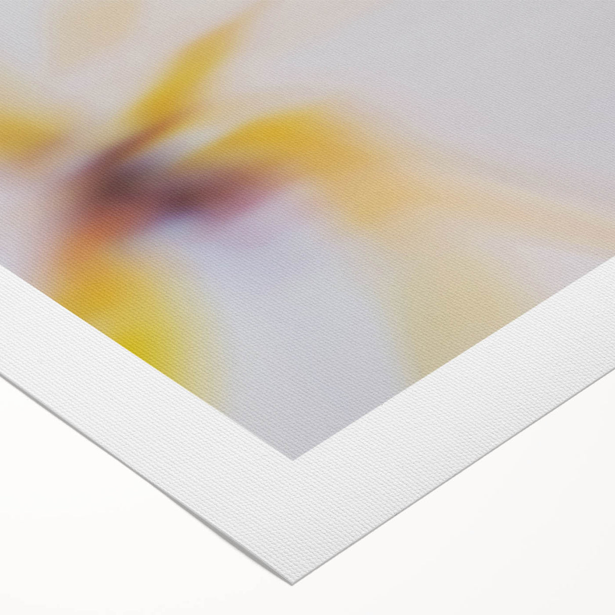Abstract Nature-Inspired Wall Art with Soft Yellow and White Gradients