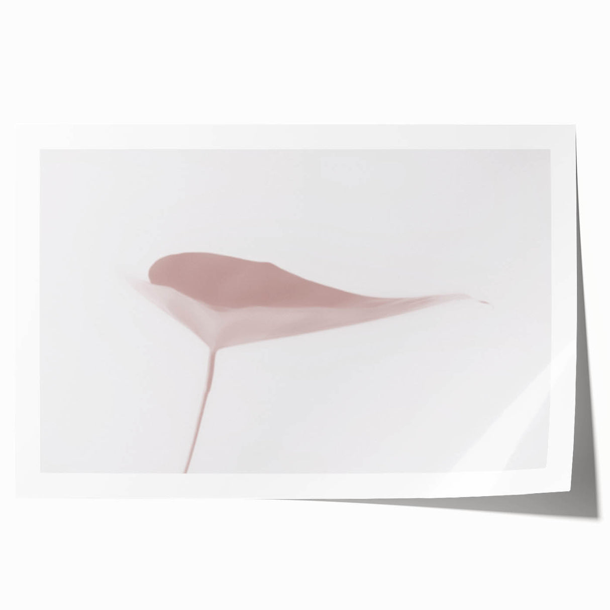 Nature-Inspired Abstract Leaf Art | Soft Grainy Gradient Canvas