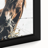 Grazing Grace - Rustic Horse Close-Up Art