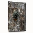 Weathered Lion Door Knocker Wall Art – Rustic Elegance Decor