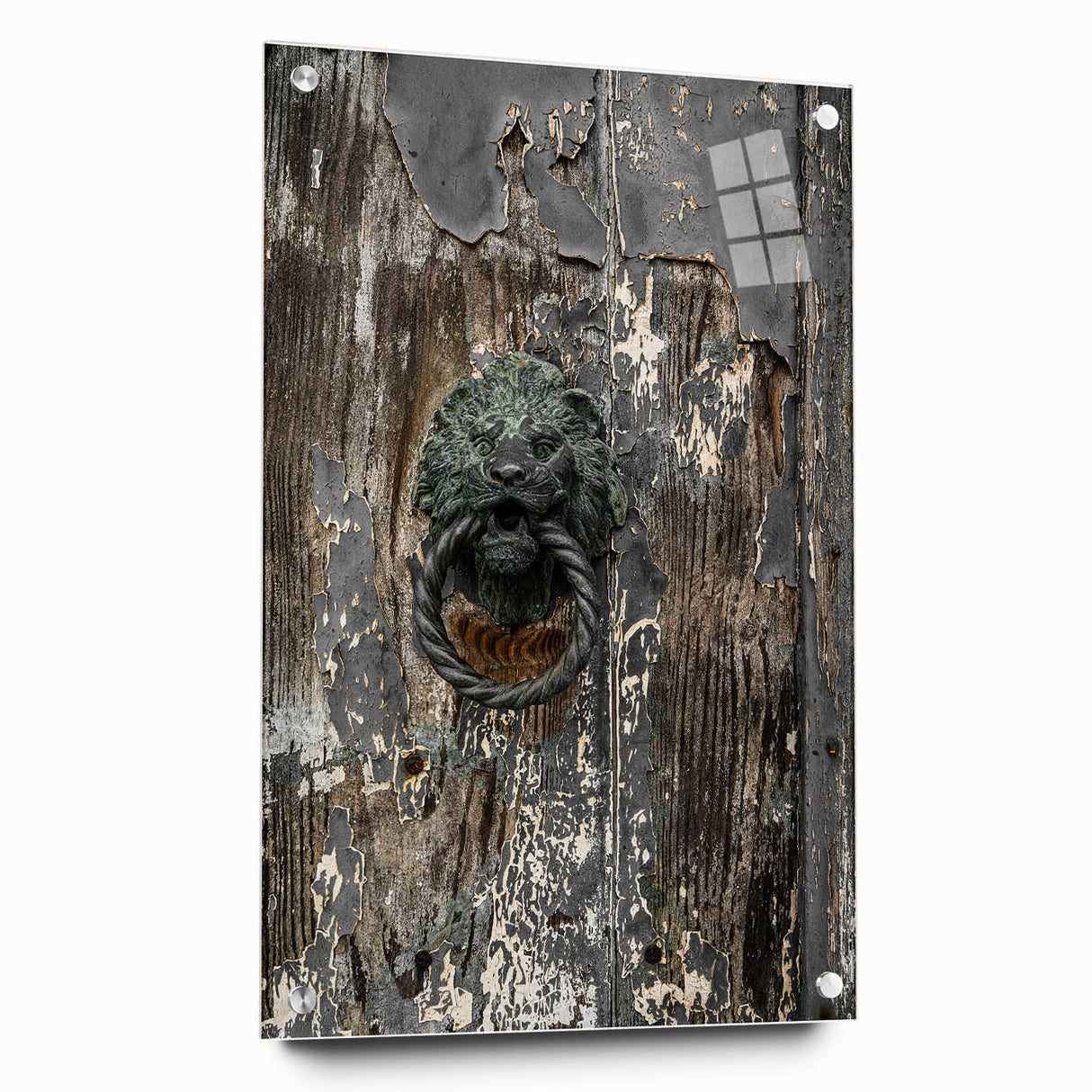 Weathered Lion Door Knocker Wall Art – Rustic Elegance Decor