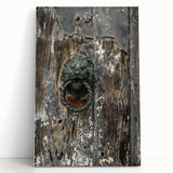 Weathered Lion Door Knocker Wall Art – Rustic Elegance Decor