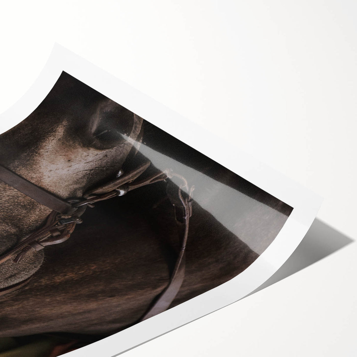 Intimate Horse Portrait - Deep Rustic Equine Art