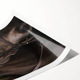 Intimate Horse Portrait - Deep Rustic Equine Art