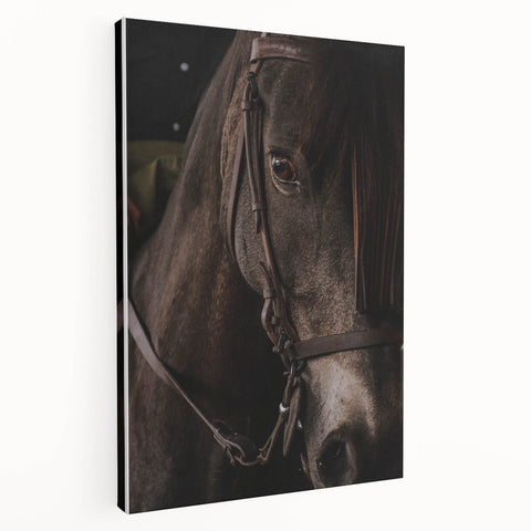 Intimate Horse Portrait - Deep Rustic Equine Art
