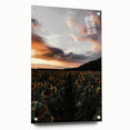 Sunset Sunflower Field - Rustic Floral Landscape Art