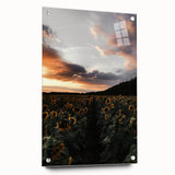 Sunset Sunflower Field - Rustic Floral Landscape Art