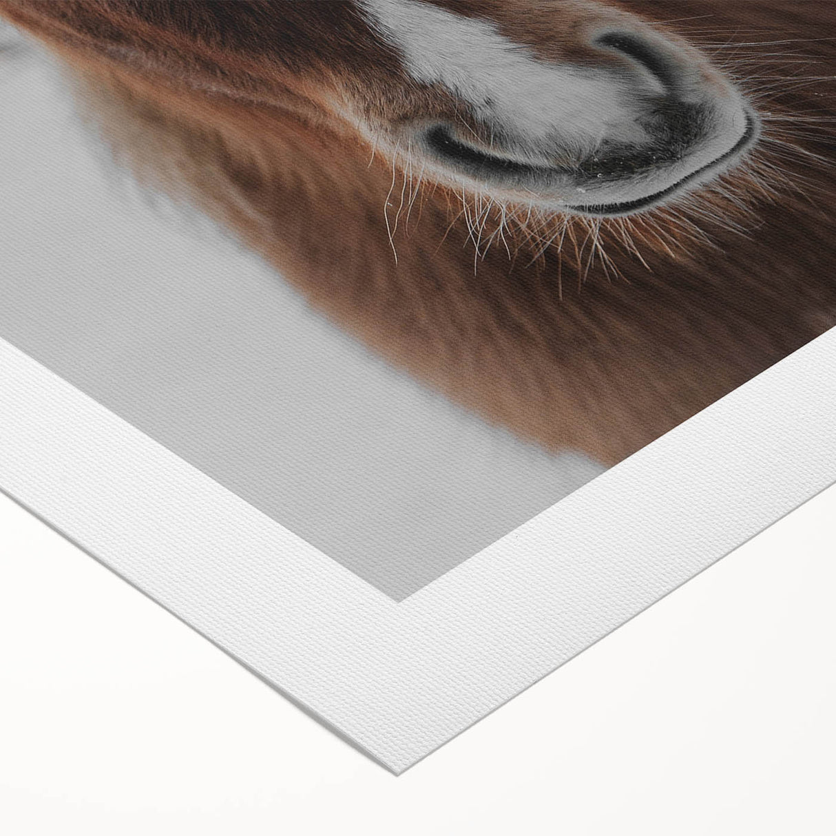 Winter Horse Portrait - Rustic Farmhouse Animal Art