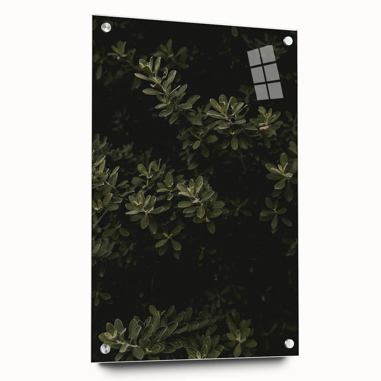 Whispering Greens - Rustic Nature Inspired Art Print