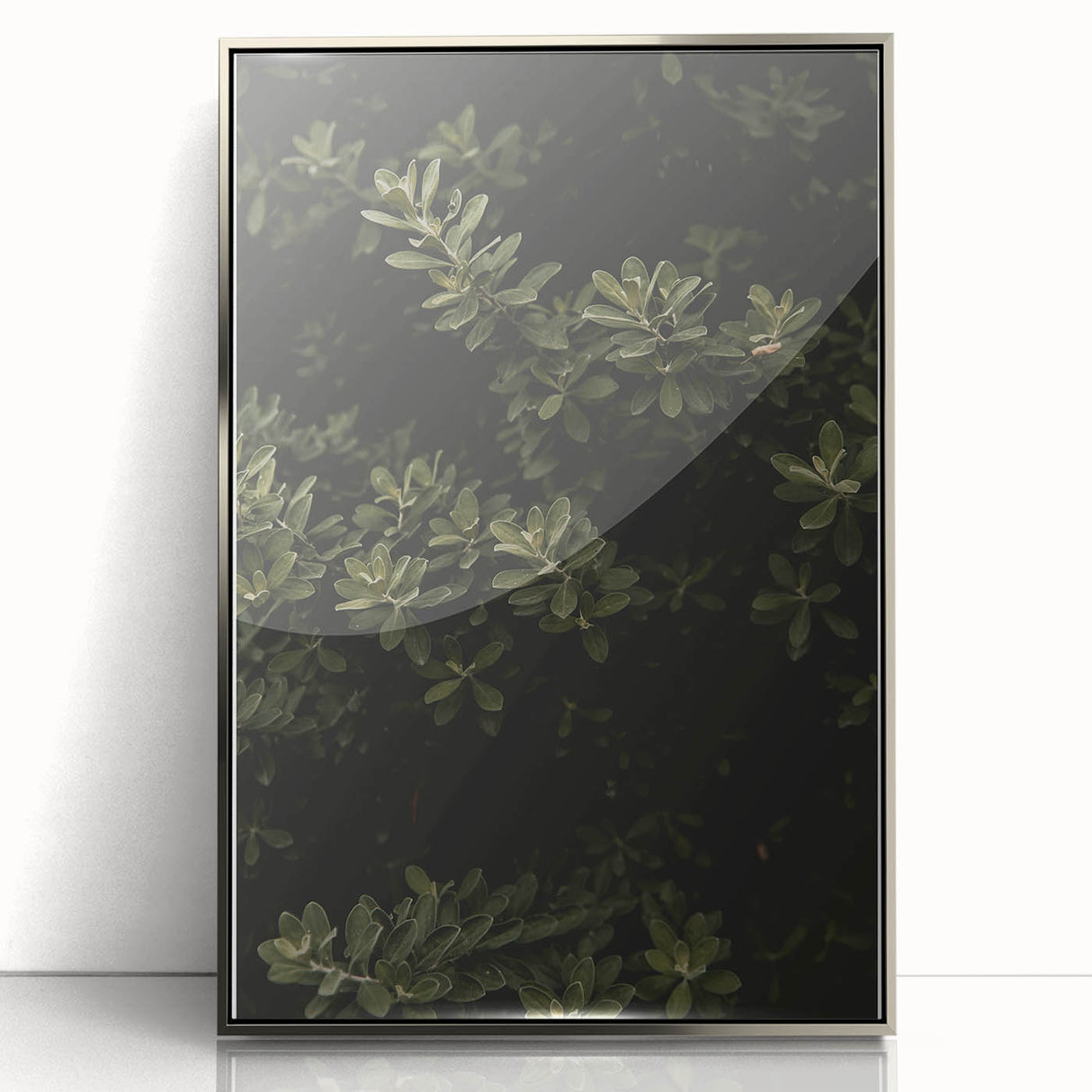 Whispering Greens - Rustic Nature Inspired Art Print