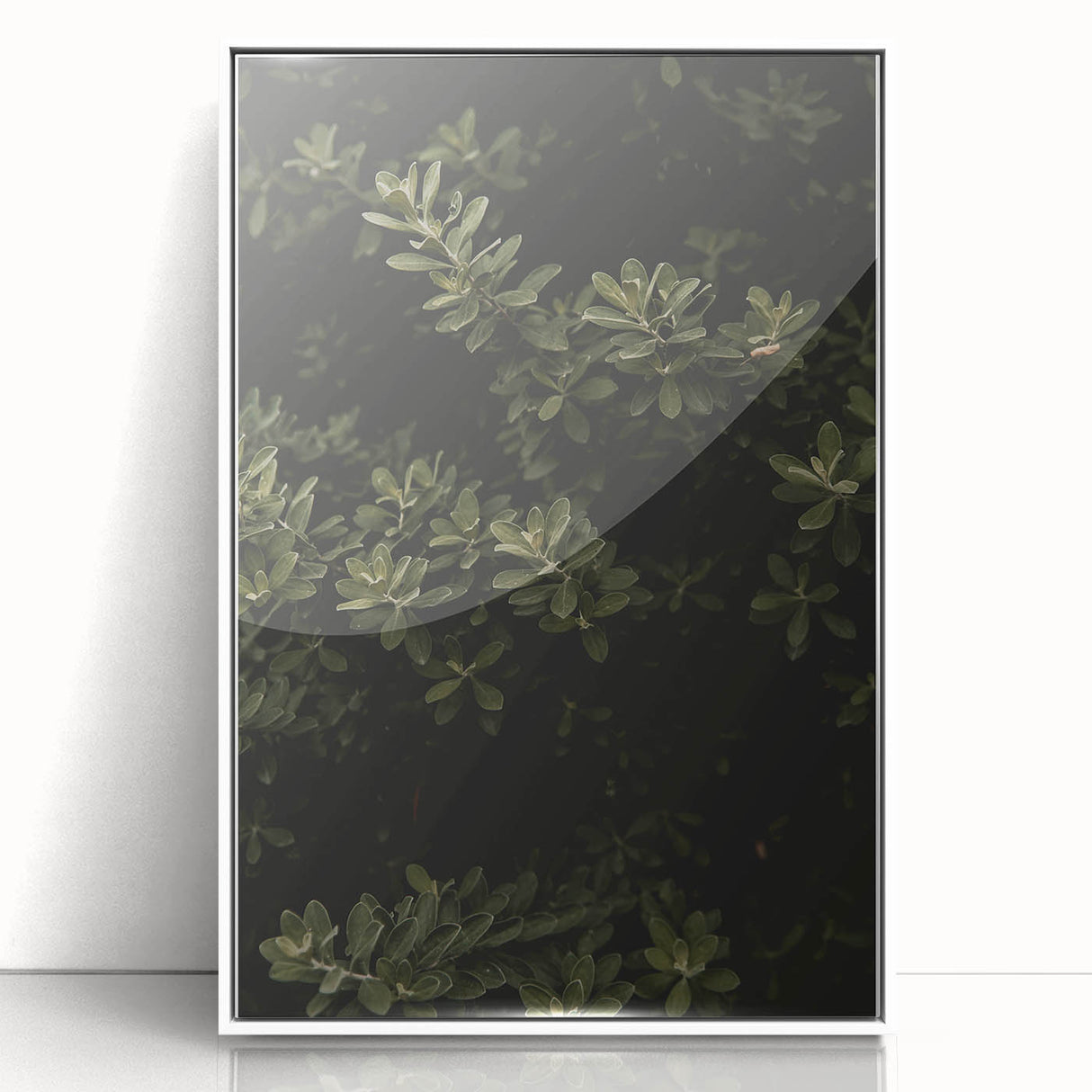 Whispering Greens - Rustic Nature Inspired Art Print