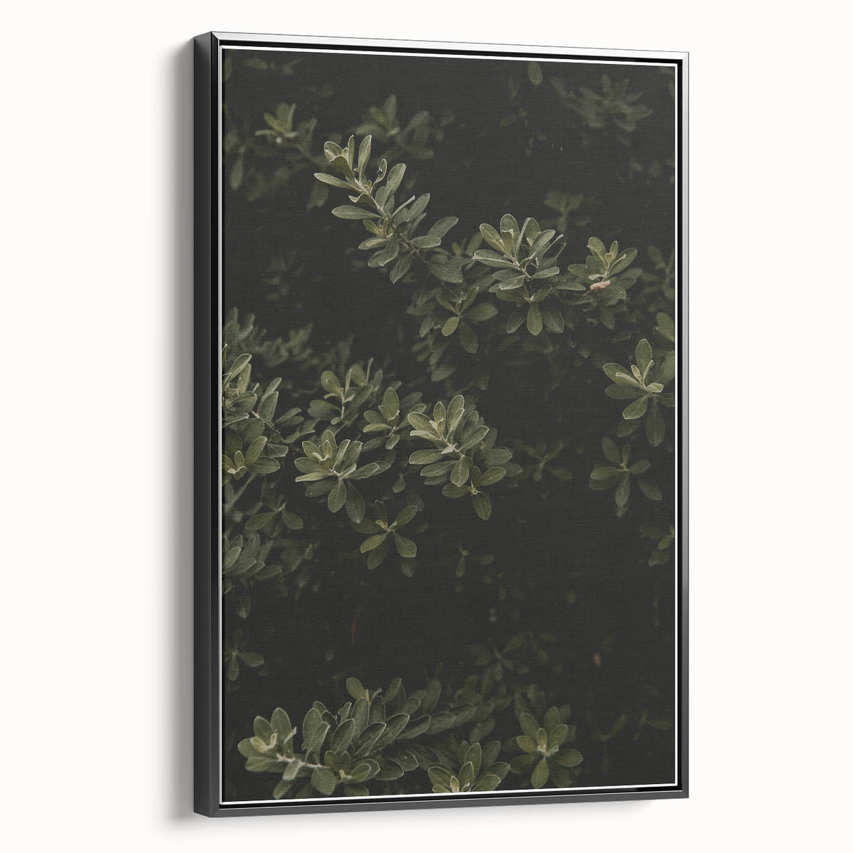 Whispering Greens - Rustic Nature Inspired Art Print