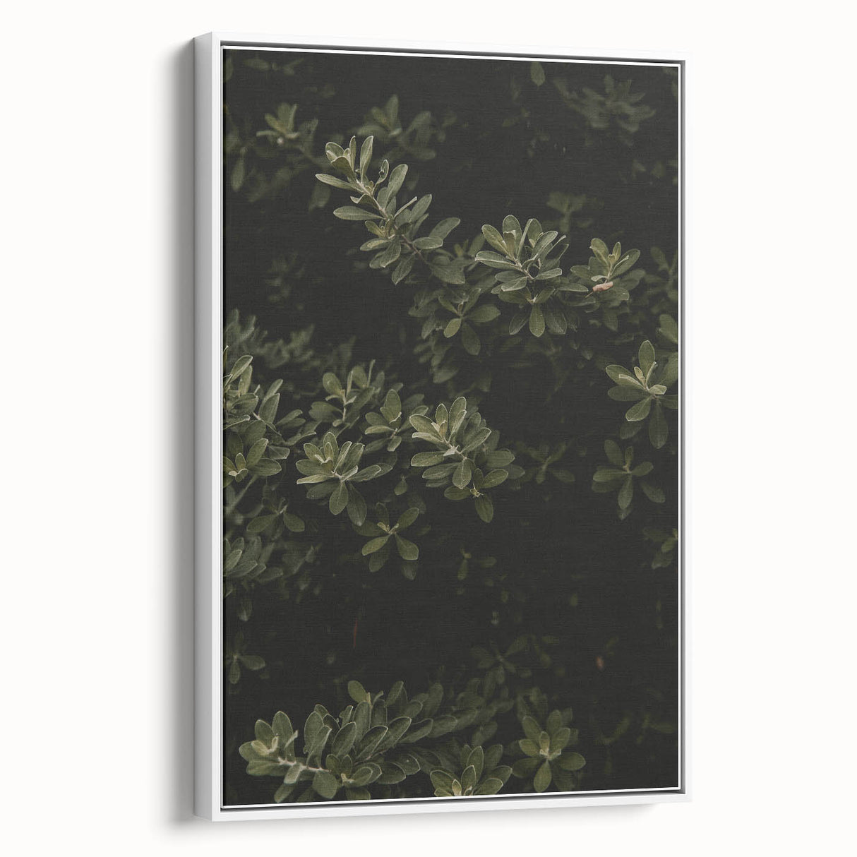 Whispering Greens - Rustic Nature Inspired Art Print
