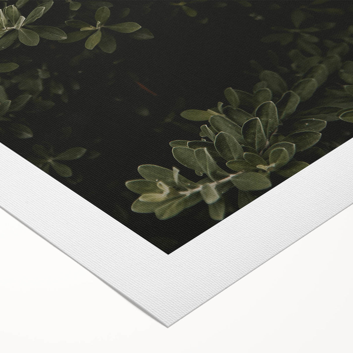 Whispering Greens - Rustic Nature Inspired Art Print