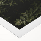 Whispering Greens - Rustic Nature Inspired Art Print