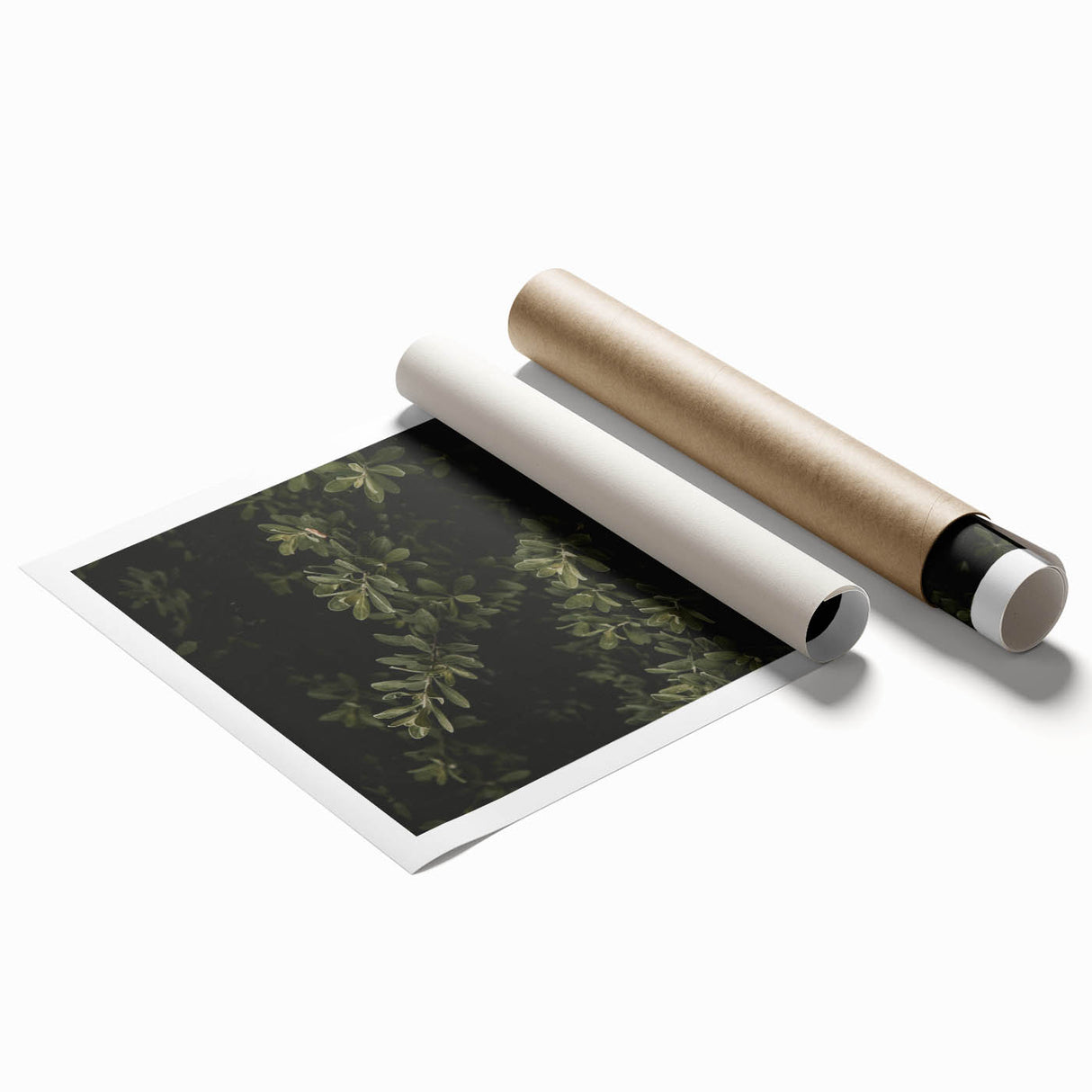 Whispering Greens - Rustic Nature Inspired Art Print