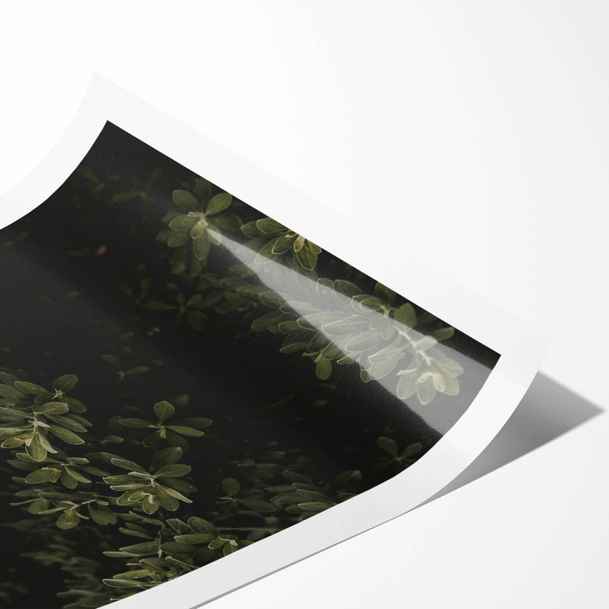 Whispering Greens - Rustic Nature Inspired Art Print