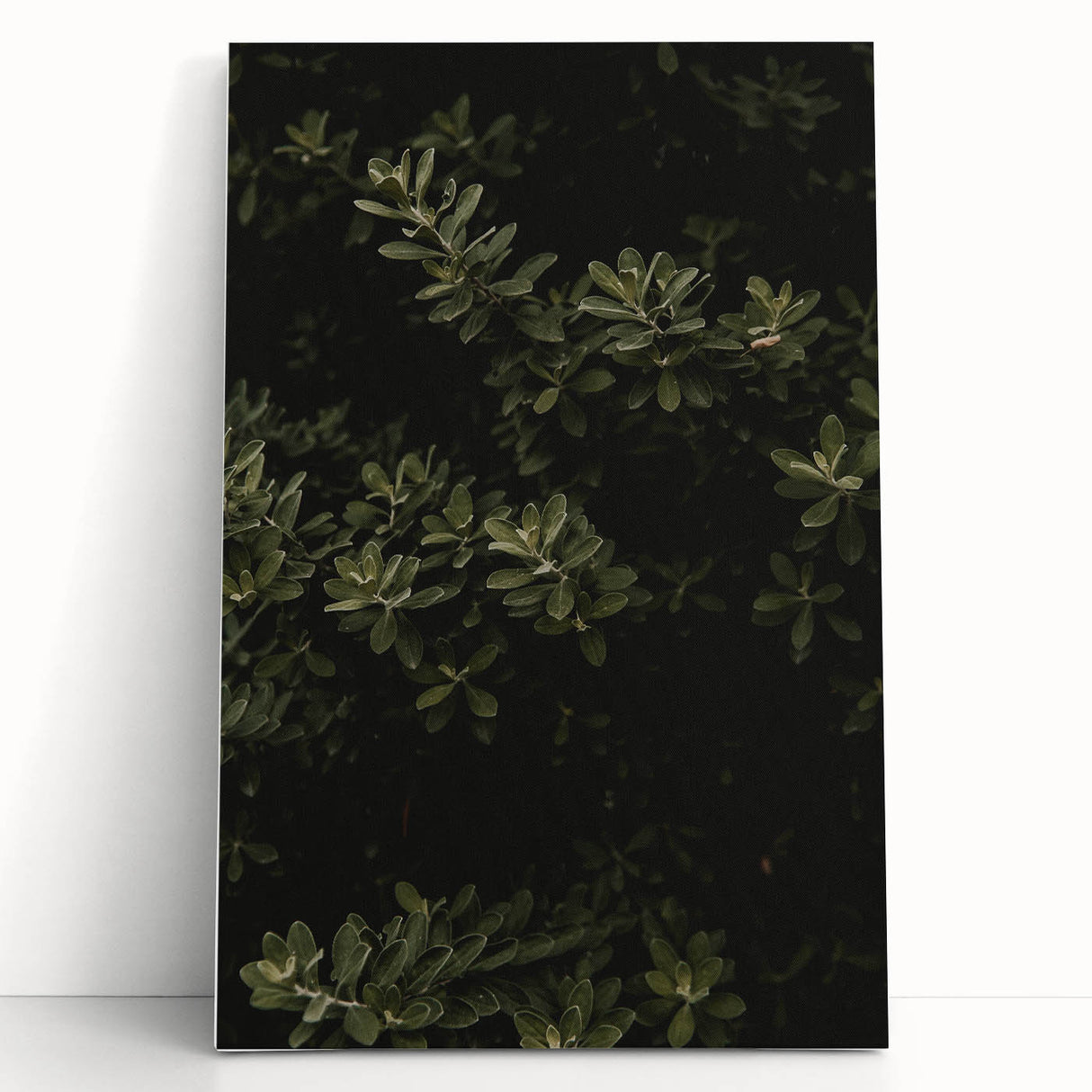 Whispering Greens - Rustic Nature Inspired Art Print