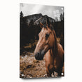 Mountain Majesty - Rustic Horse Portrait Art Print