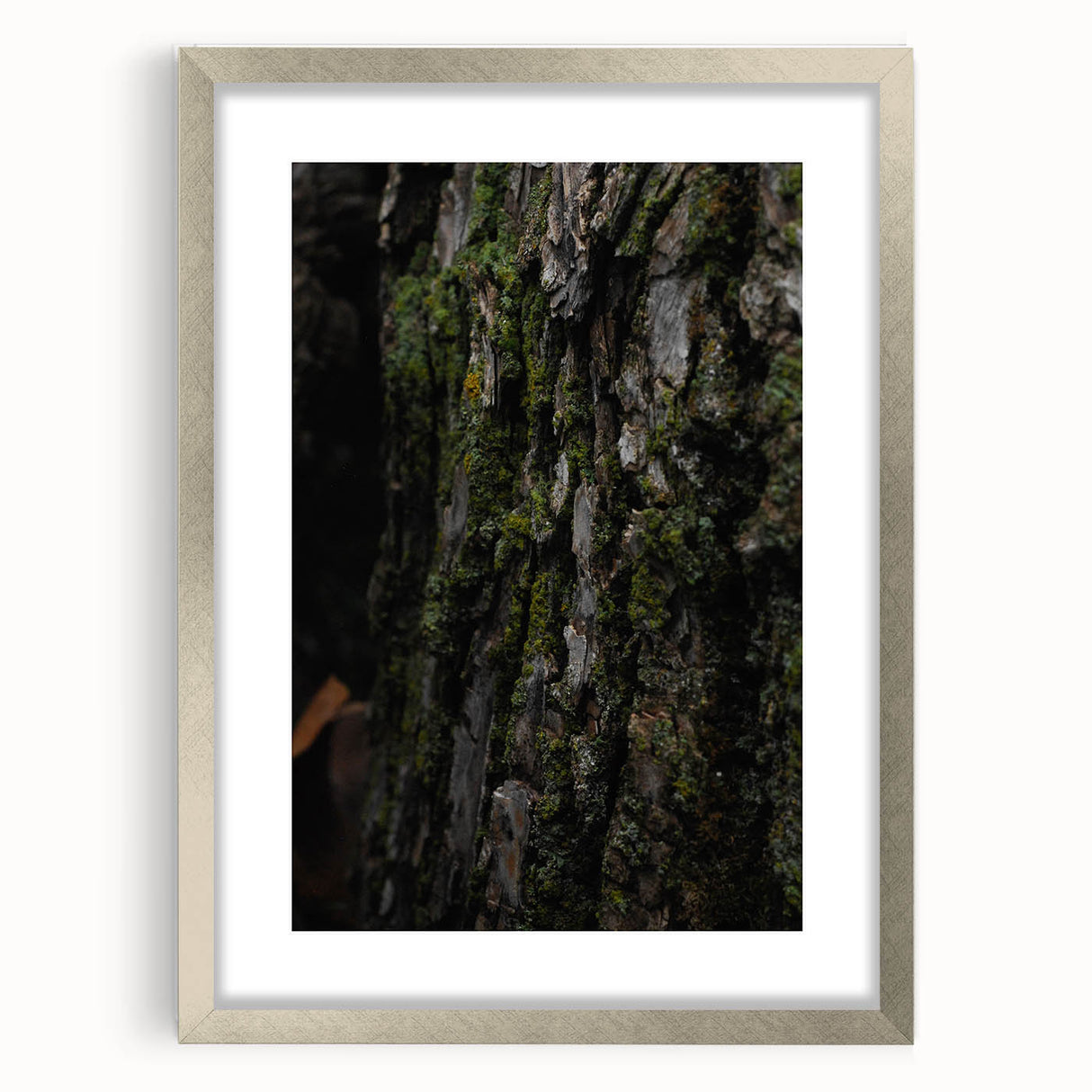 Rustic Bark Wall Art – Nature-Inspired Woodland Decor for Farmhouse Homes