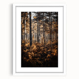 Rustic Autumn Forest Wall Art – Nature-Inspired Farmhouse Landscape Decor