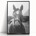 Black and White Horse Portrait – Rustic Farmhouse Wall Art Decor