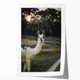 Llama Rustic Wall Art – Farmhouse Animal Decor with Nature’s Charm