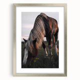 Rustic Grazing Horse Wall Art – Farmhouse Decor with Natural Charm