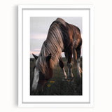 Rustic Grazing Horse Wall Art – Farmhouse Decor with Natural Charm