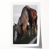 Rustic Grazing Horse Wall Art – Farmhouse Decor with Natural Charm