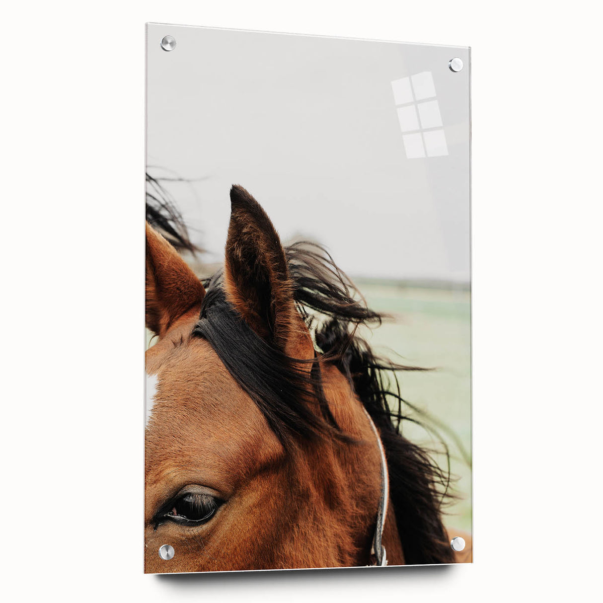 Rustic Horse Close-Up Wall Art – Farmhouse Decor with Natural Elegance