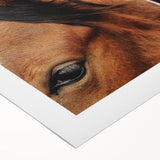 Rustic Horse Close-Up Wall Art – Farmhouse Decor with Natural Elegance