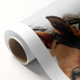 Rustic Horse Close-Up Wall Art – Farmhouse Decor with Natural Elegance