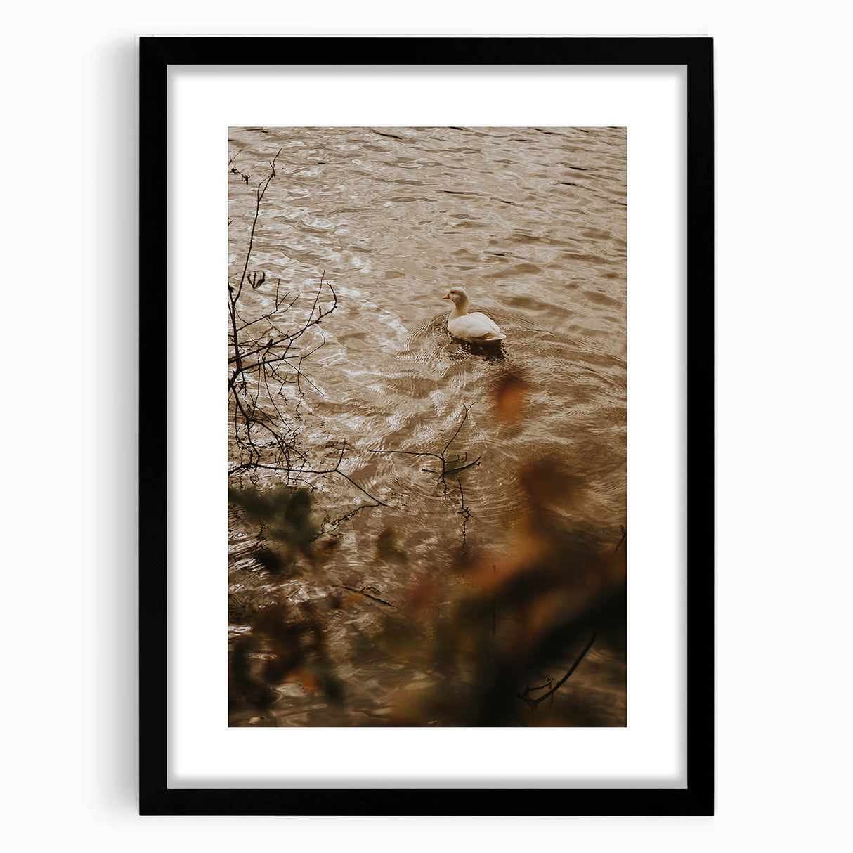 Rustic Wall Art of Duck on Water - Farmhouse Vintage Nature Scene