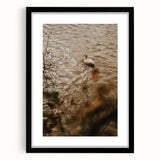 Rustic Wall Art of Duck on Water - Farmhouse Vintage Nature Scene
