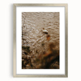 Rustic Wall Art of Duck on Water - Farmhouse Vintage Nature Scene