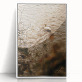 Rustic Wall Art of Duck on Water - Farmhouse Vintage Nature Scene