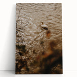 Rustic Wall Art of Duck on Water - Farmhouse Vintage Nature Scene