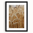 Golden Wheat Field - Rustic Farmhouse Wall Art Decor