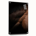 Rustic Wall Art - Close-Up Horse Mane & Coat, Farmhouse Decor Print