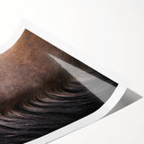 Rustic Wall Art - Horse Mane Texture Close-Up, Farmhouse Decor Print