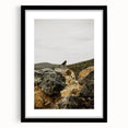 Rustic Wall Art - Bird on Rocks in Desert Landscape, Farmhouse Decor
