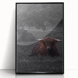 Rustic Wall Art - Highland Cows Resting in Field, Farmhouse Decor Print