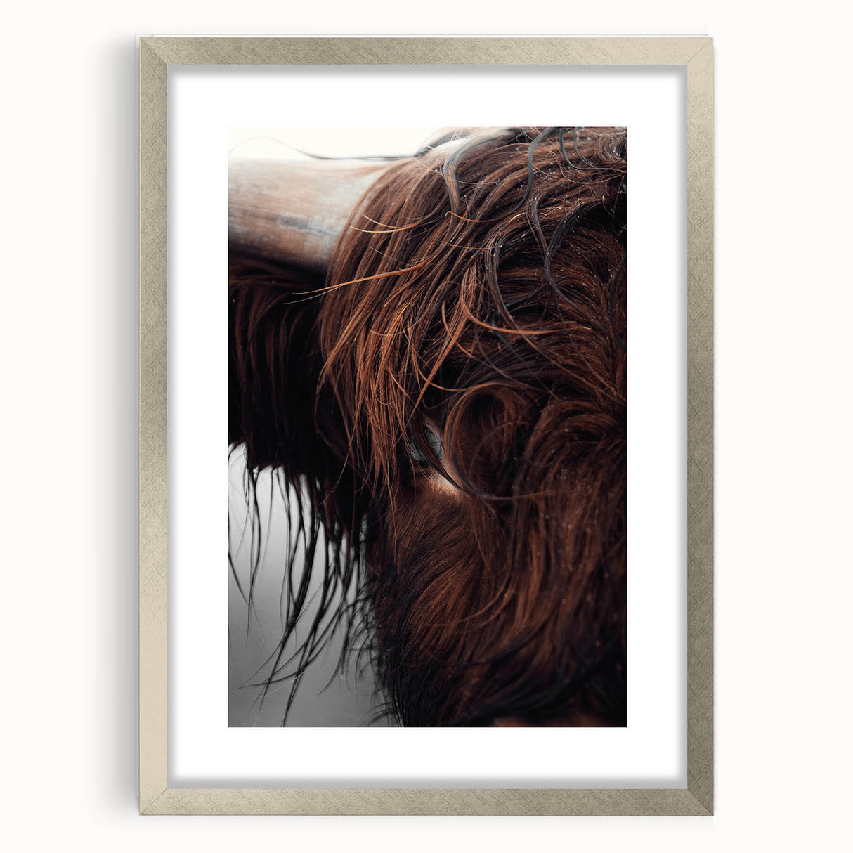 Rustic Wall Art - Close-Up of Highland Cow Fur, Farmhouse Decor Print