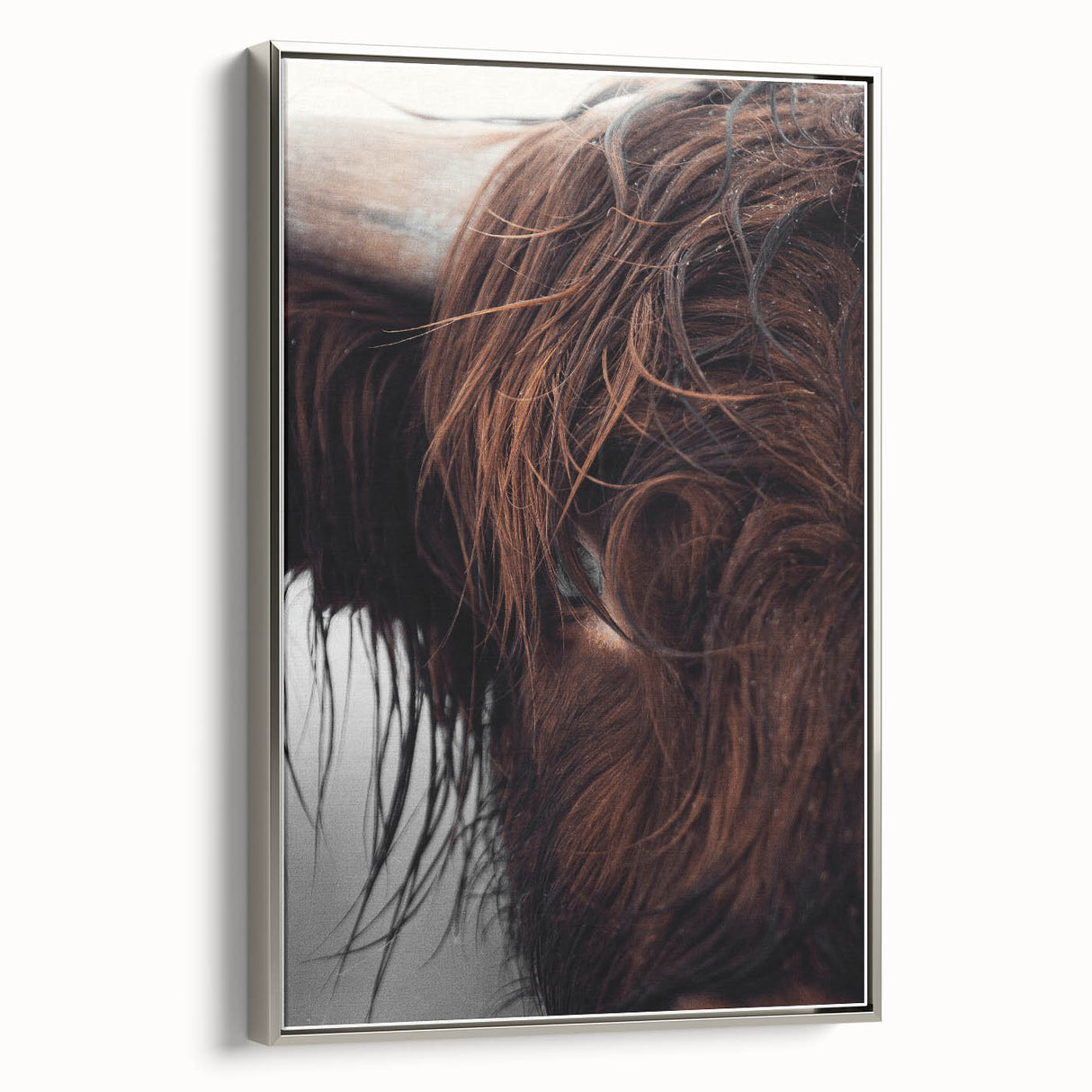Rustic Wall Art - Close-Up of Highland Cow Fur, Farmhouse Decor Print