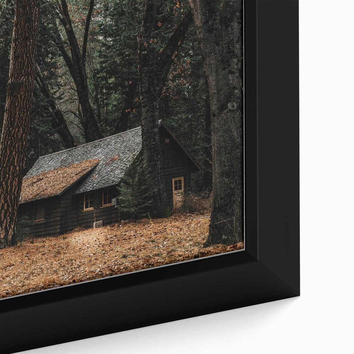 Rustic Wall Art - Cabin in the Woods, Farmhouse Decor, Cozy Nature Print